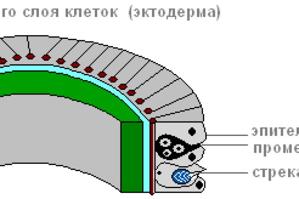 Регистрация кракен