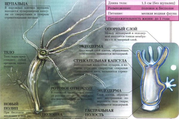 Магазины с наркотиками