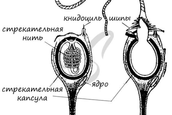 Официальный сайт кракен тор