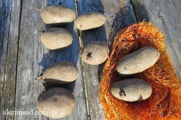 Сайт кракен рабочая ссылка